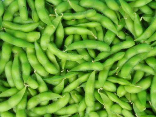 如何對(duì)速凍蔬菜進(jìn)行打包？